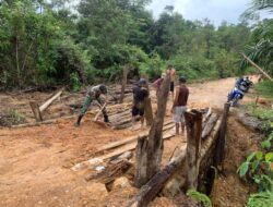 Satgas Pamtas Yonif Mekanis 643/Wns Gotong Royong Perbaiki Jembatan Rusak Di Perbatasan