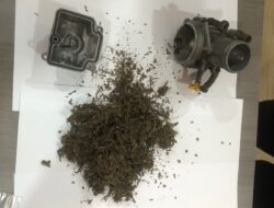Bea Cukai Batam Berhasil Gagalkan Pengiriman Paket Ganja dalam Karburator dari Batam ke Jakarta