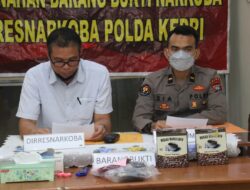 Pemusnahan Barang Bukti Narkotika Jenis Ganja Oleh Ditresnarkoba Polda Kepri