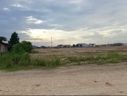 Tak Terbendung, Oknum Pengusaha Botak Hutan Lindung di Sagulung