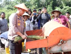 Kapolres Lingga Panen Padi Sawah Di Desa Lanjut desa ketahanan pangan