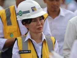 Wakil Kepala BP Batam Tinjau Persiapan Pengoperasian 4 STS Crane dari China