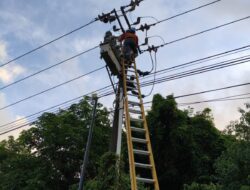 Listrik PLN Batam di Tanjung Piayu Padam Akibat Layang-Layang dan Pohon Tumbang