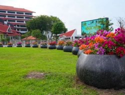 BP Batam : Penataan Pot Bougenville Perkuat Stetika Kota Tanpa Benani Keuangan Negara