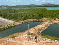 Tambak Udang di Kawasan Hutan Lindung diduga Milik PT. BSA