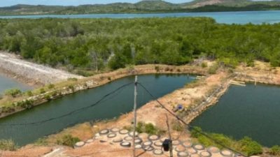 Tambak Udang di Kawasan Hutan Lindung diduga Milik PT. BSA