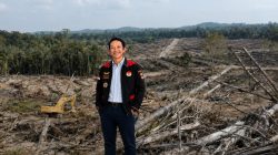 Ketua DPD LSM KPK-RI Kepri Akan Laporkan Dugaan Perambahan Hutan dan Perkebunan Sawit Tanpa Izin, Desak KLH Bertindak Tegas